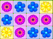 Imaginea Albină Și Urs